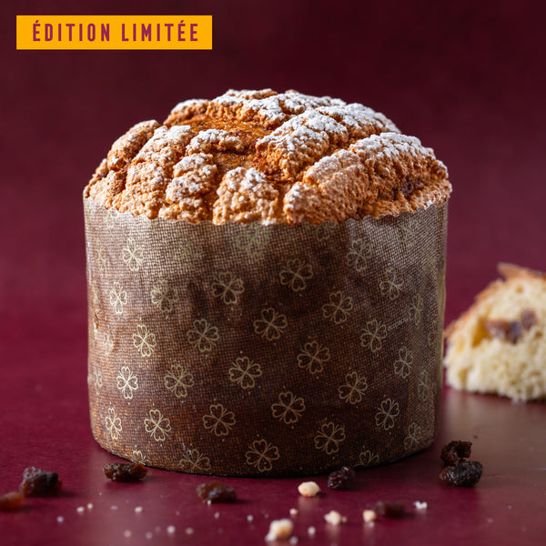 Panettone