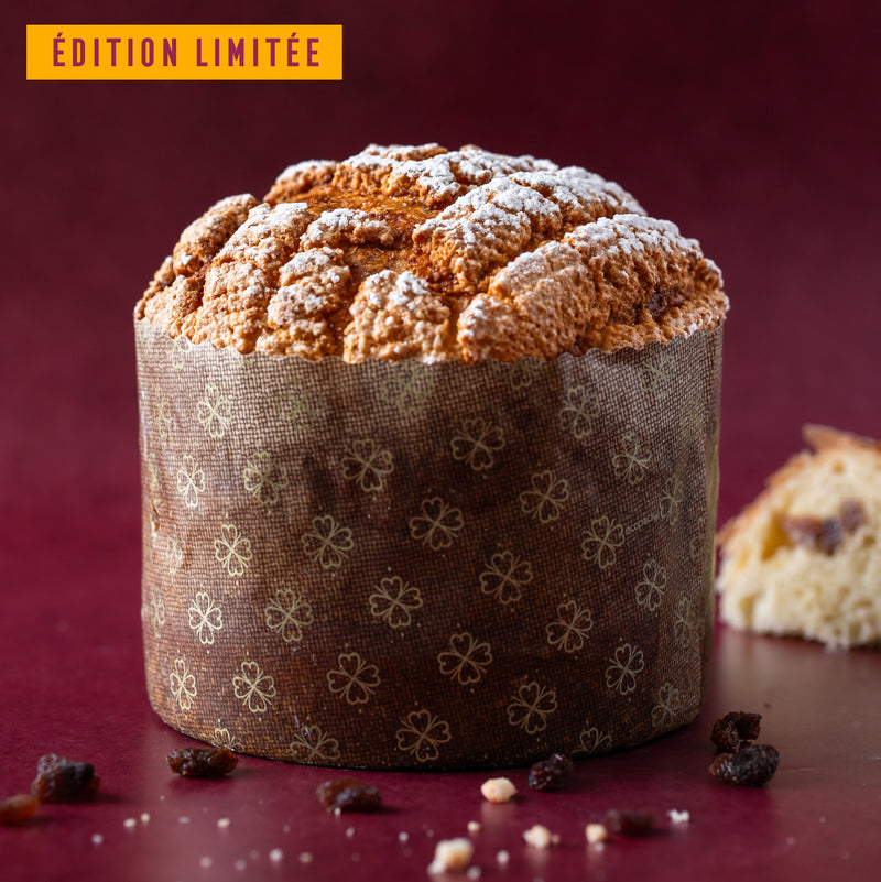 Panettone