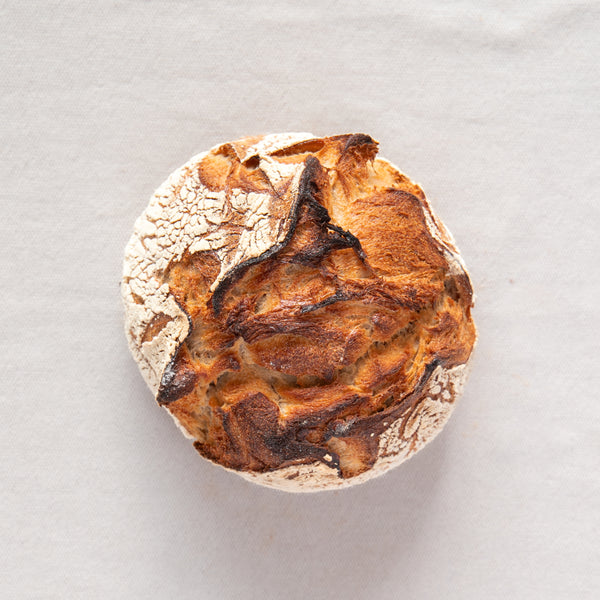 NOËL 2025 Pain de meule au Yuzu